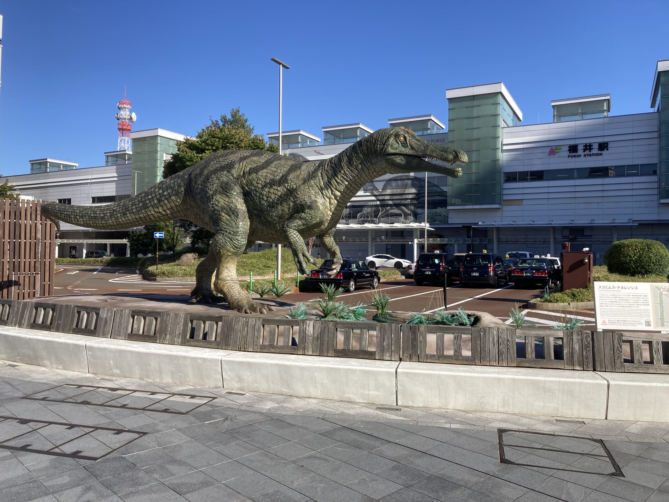 【福井県版】秘密のケンミンSHOWまとめ