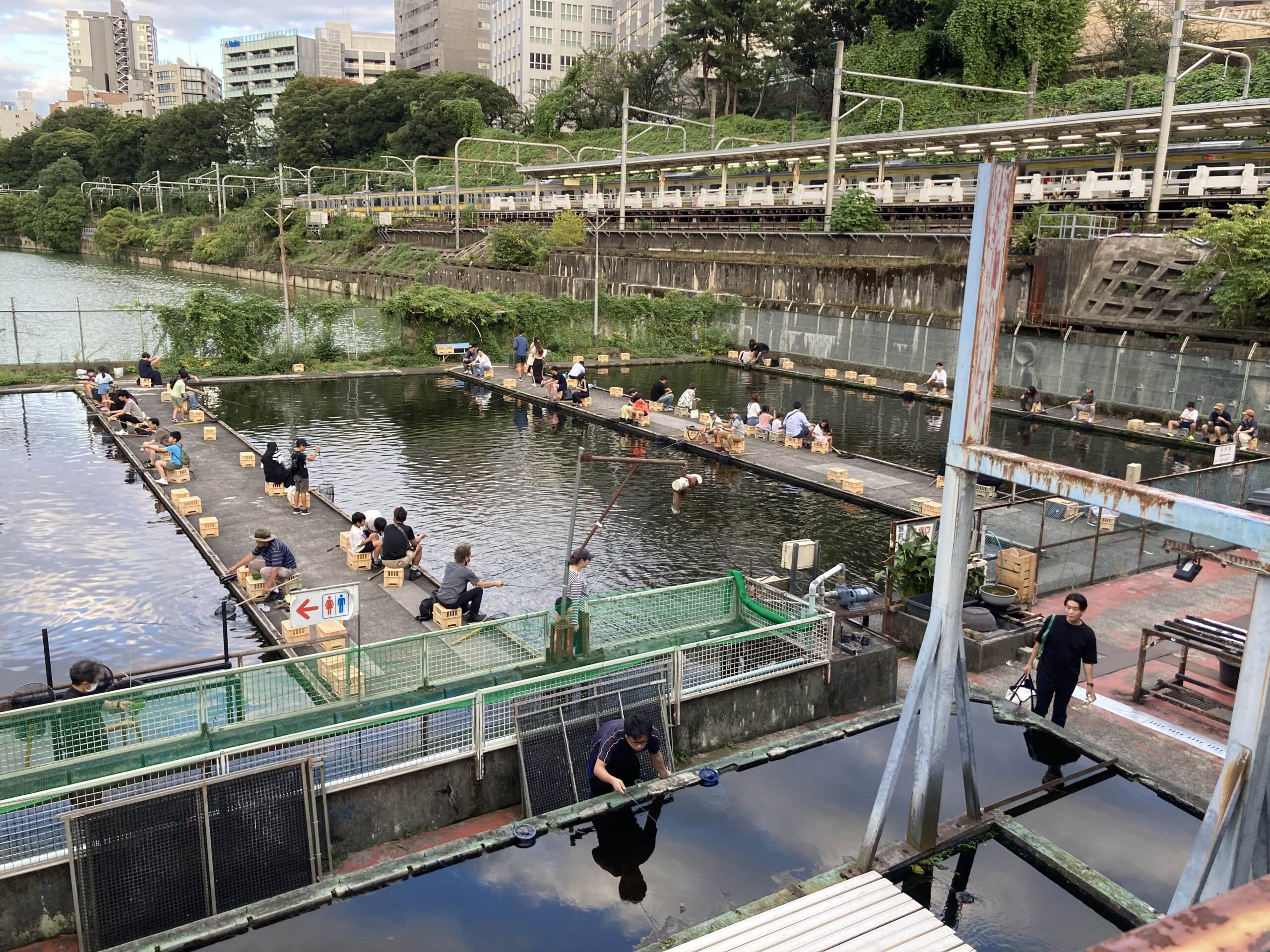 【東京都版】秘密のケンミンSHOWまとめ