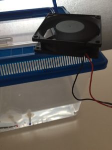 水槽で使える冷却用ファン（扇風機）の自作方法