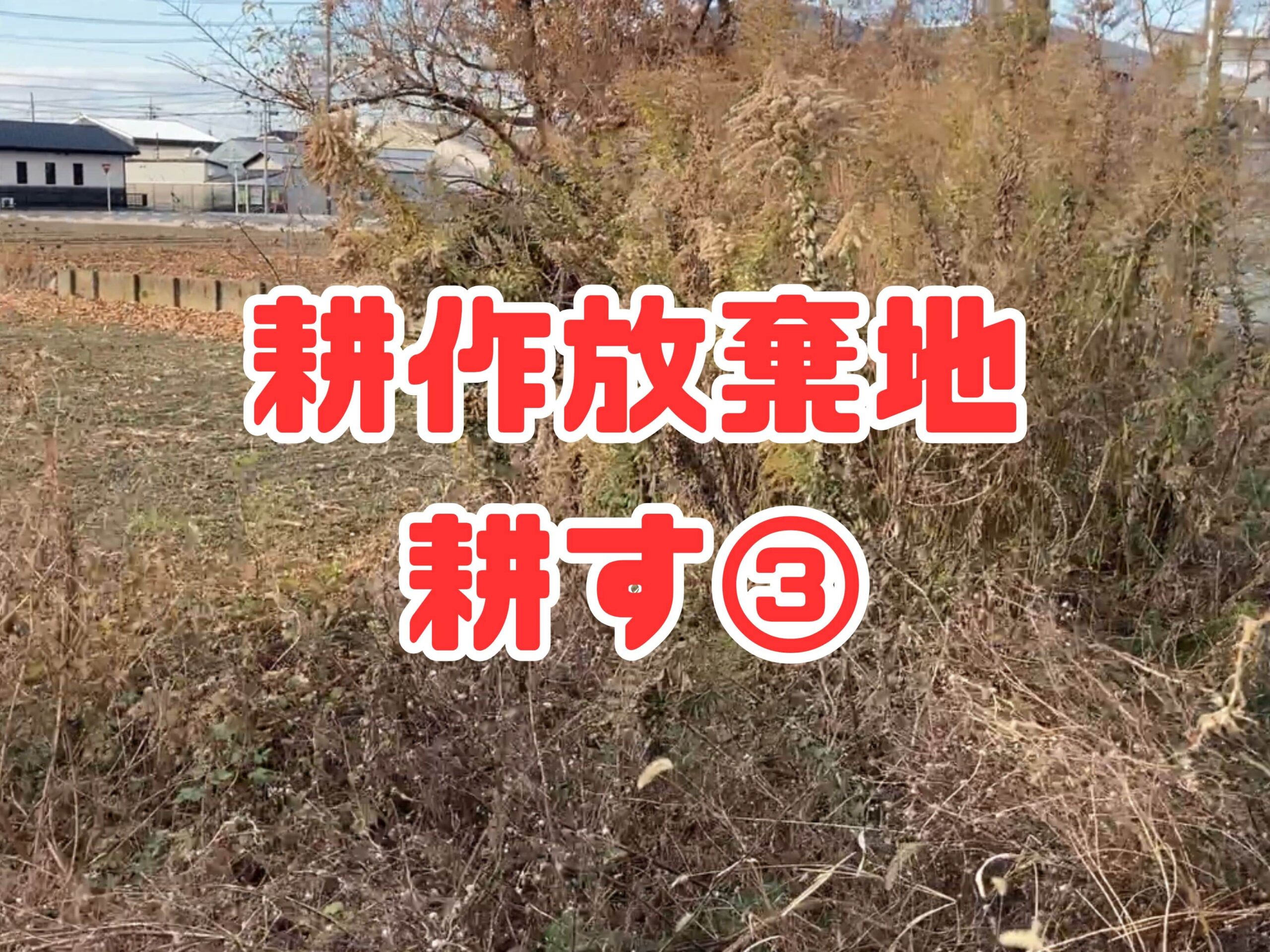 耕作放棄地を耕して畑（家庭菜園）にします③（無農薬・有機栽培・不耕起栽培）