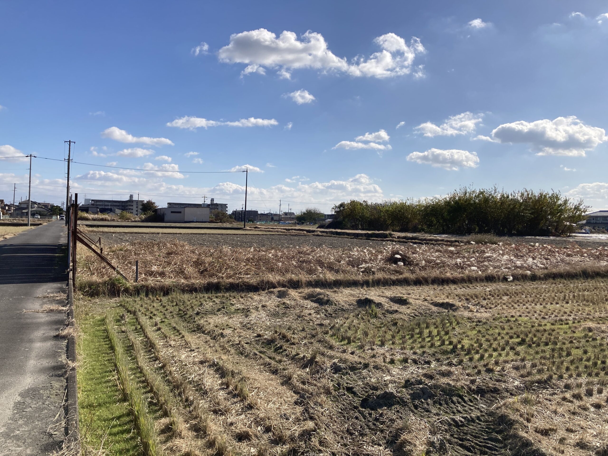 耕作放棄地を耕して畑（家庭菜園）にしますB（無農薬・有機栽培・不耕起栽培）