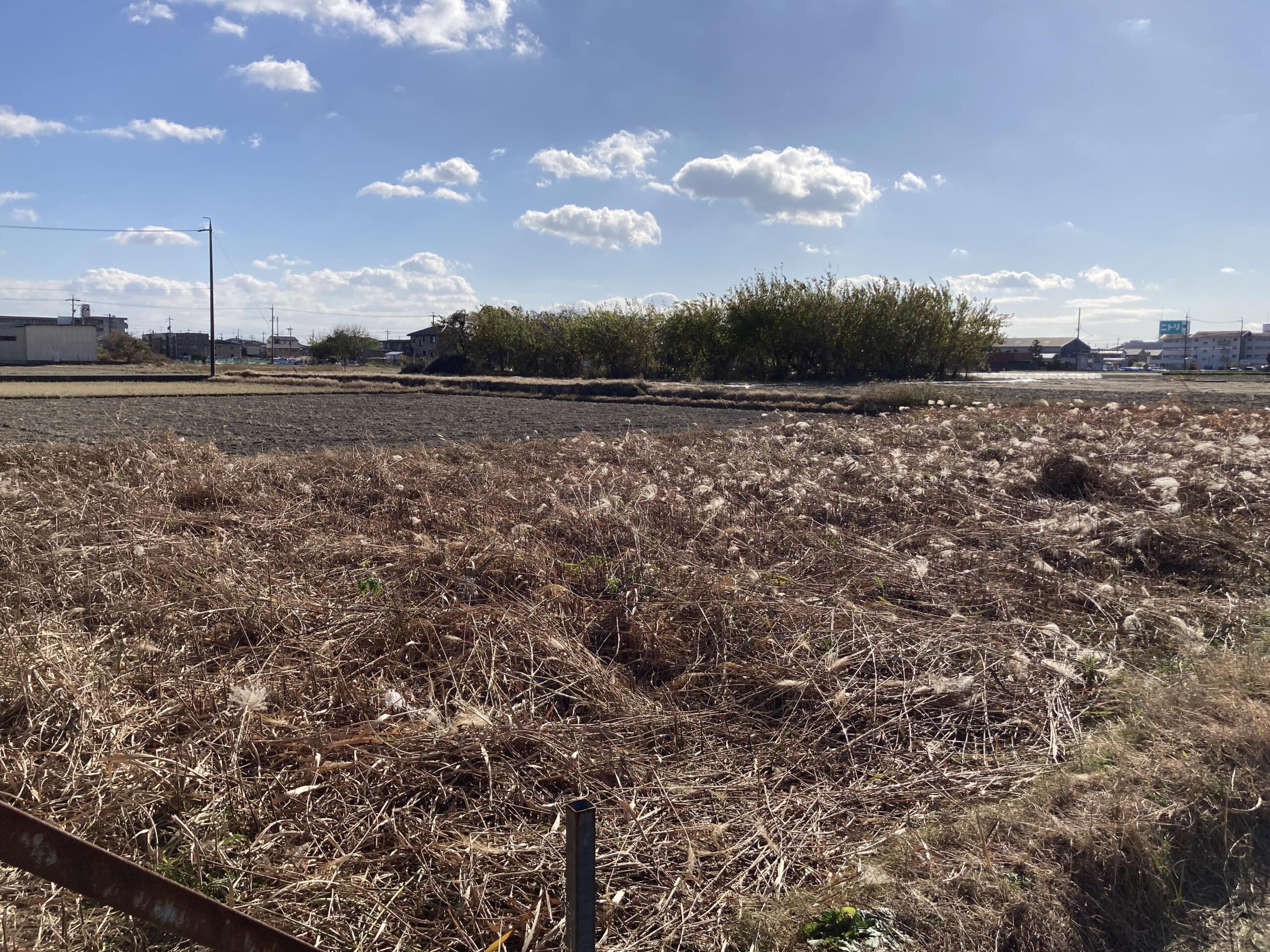 耕作放棄地を耕して畑（家庭菜園）にしますB（無農薬・有機栽培・不耕起栽培）
