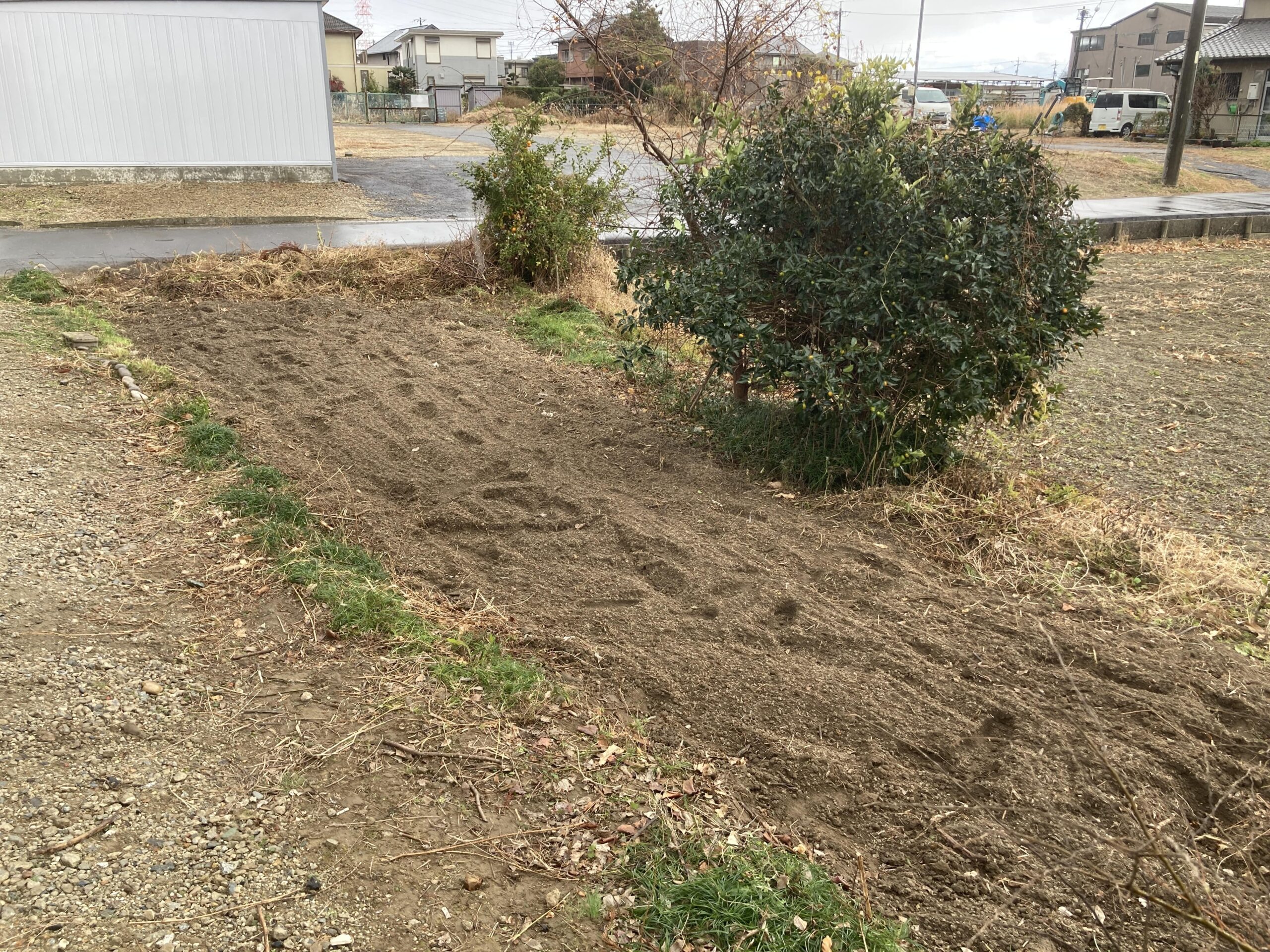 耕作放棄地を耕して畑（家庭菜園）にします