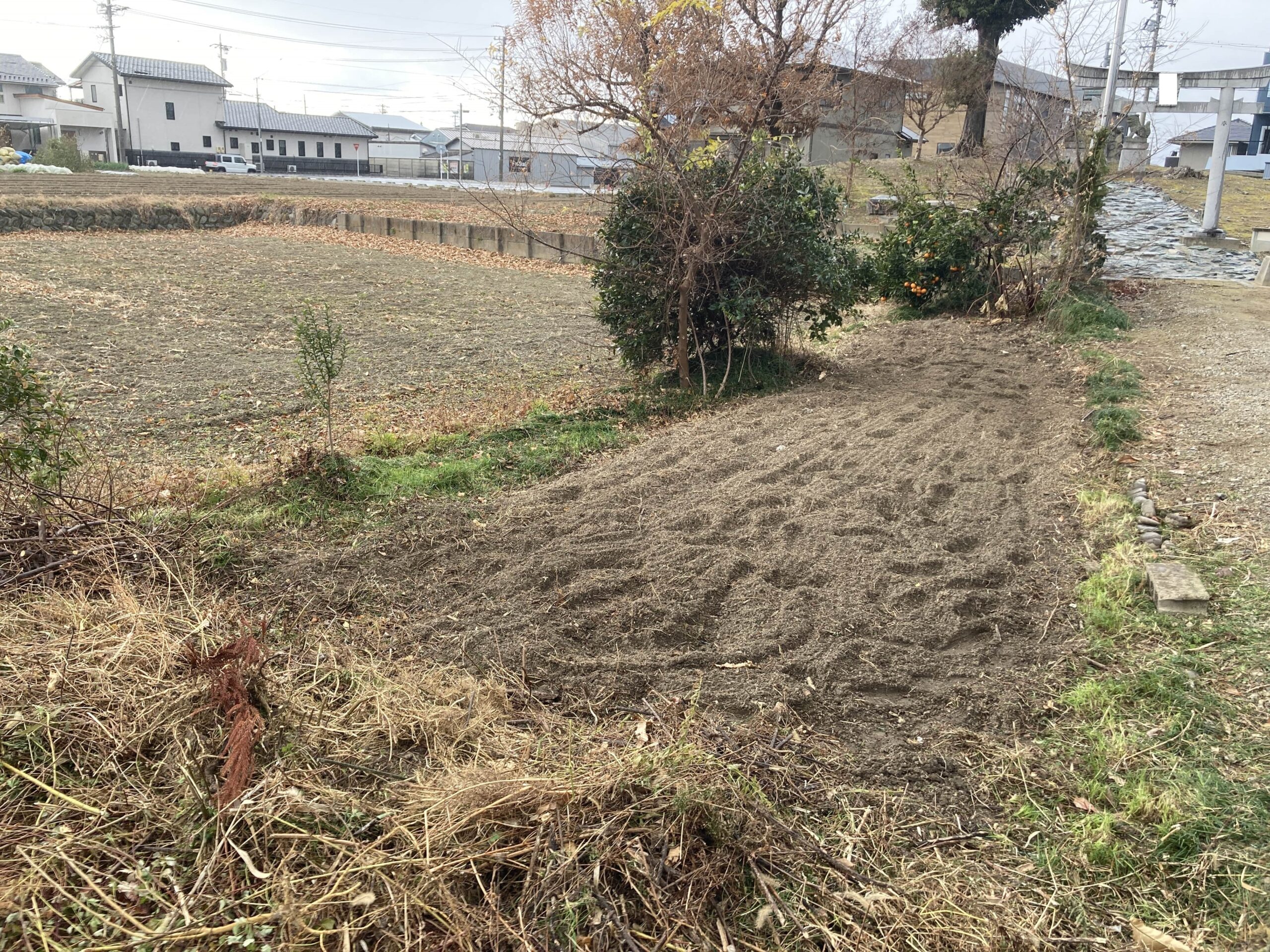 耕作放棄地を耕して畑（家庭菜園）にします