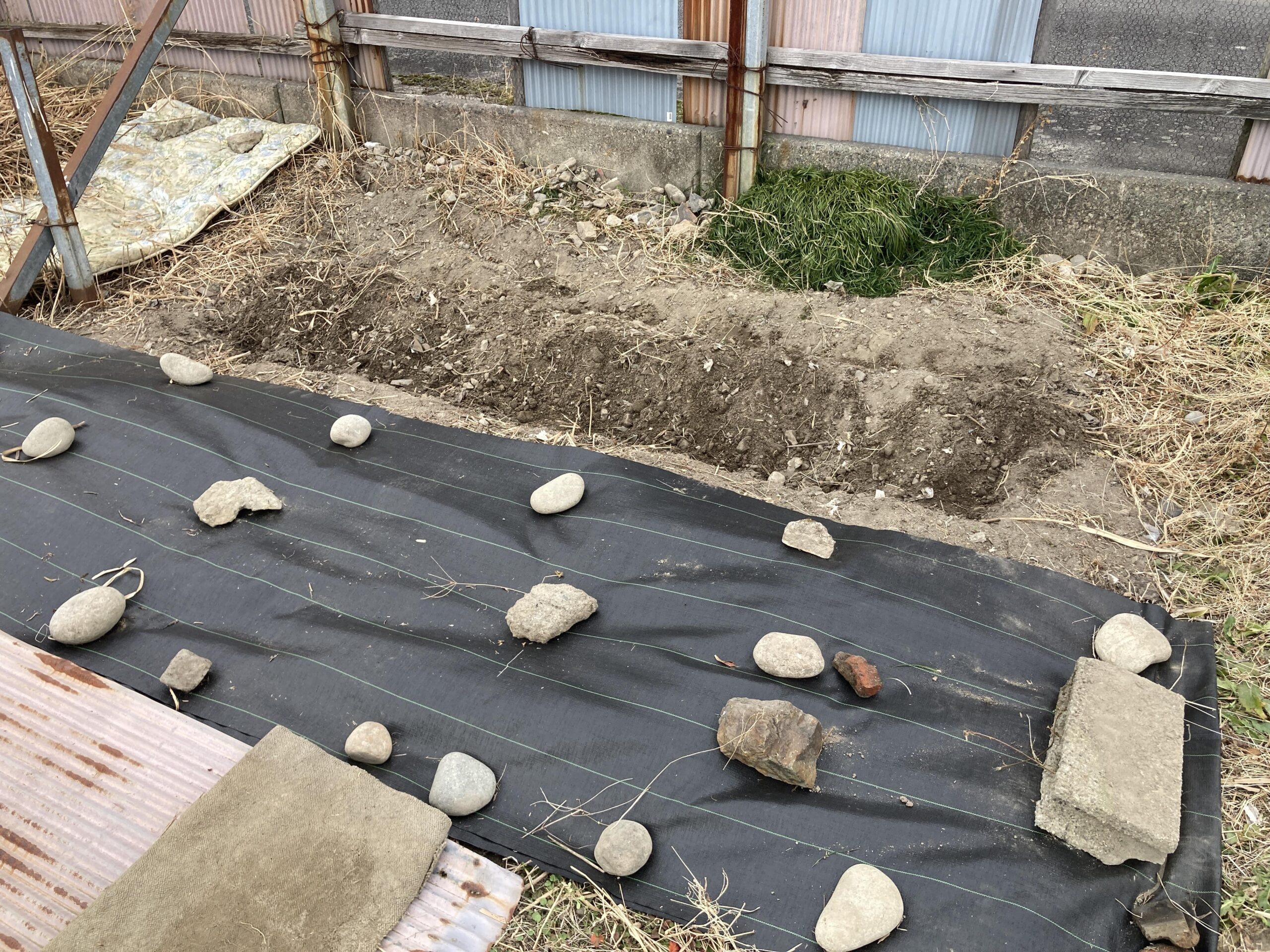 耕作放棄地を耕して畑（家庭菜園）にしますB②（無農薬・有機栽培・不耕起栽培）