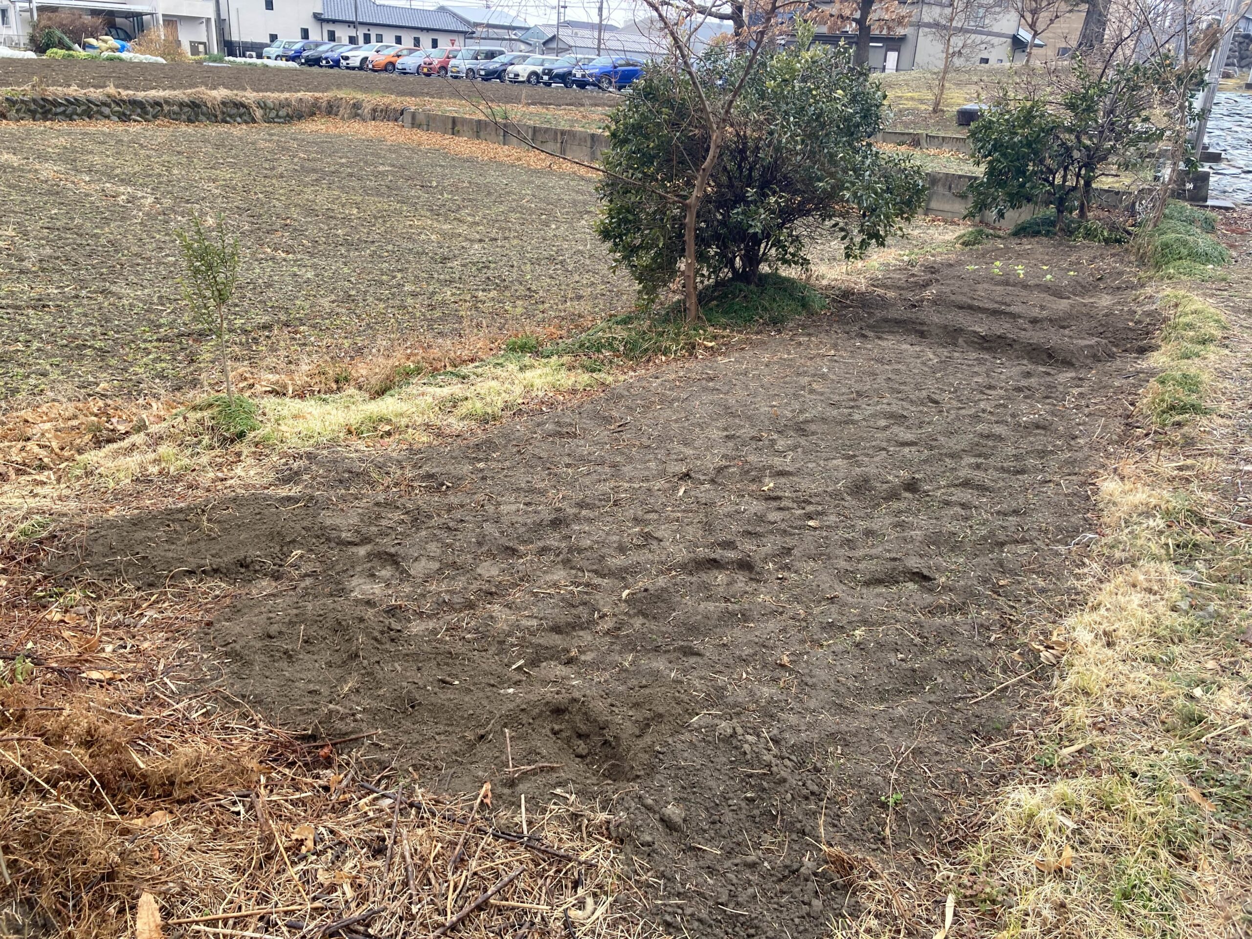 耕作放棄地を耕して畑（家庭菜園）にします②