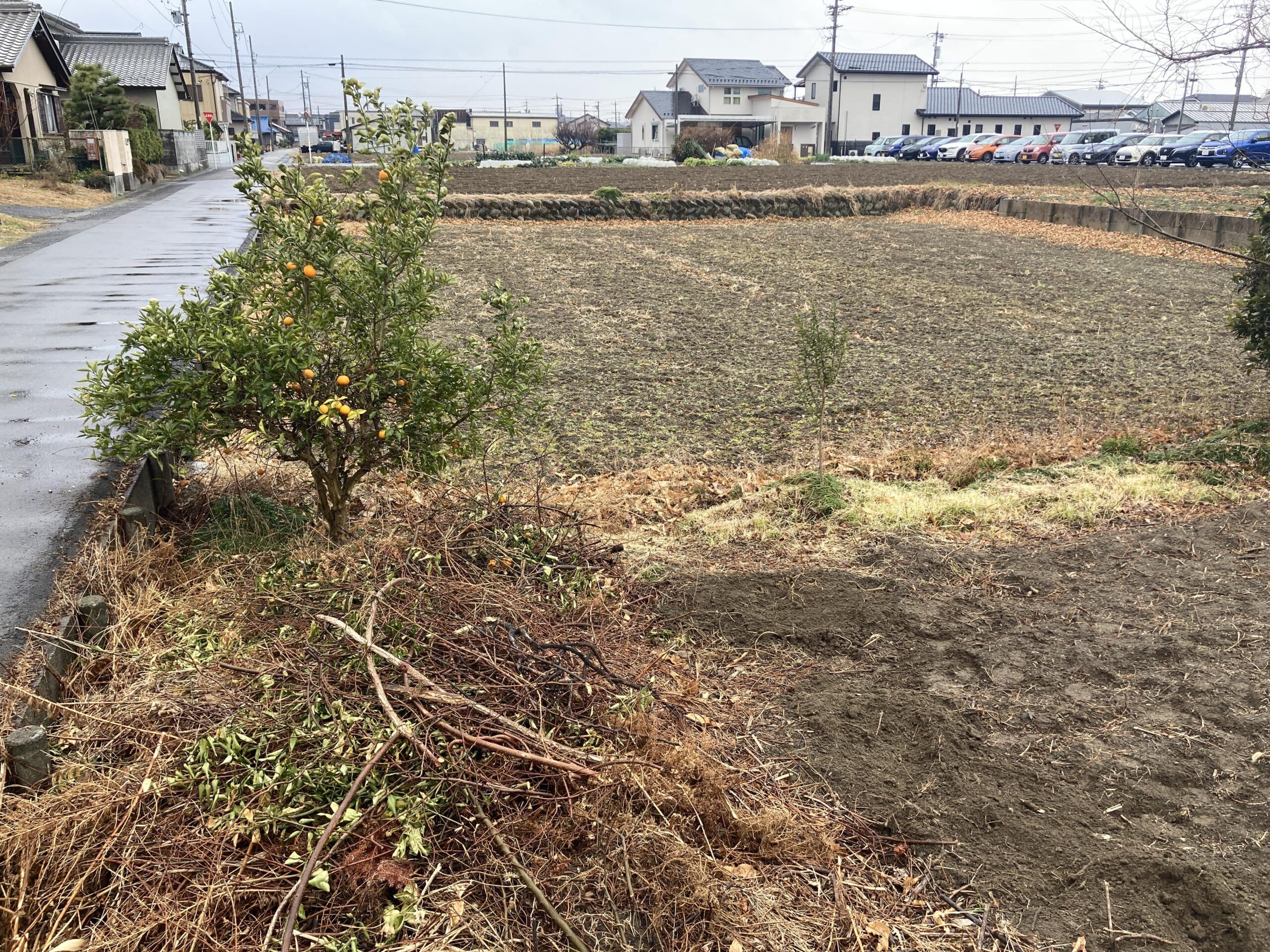 耕作放棄地を耕して畑（家庭菜園）にします②