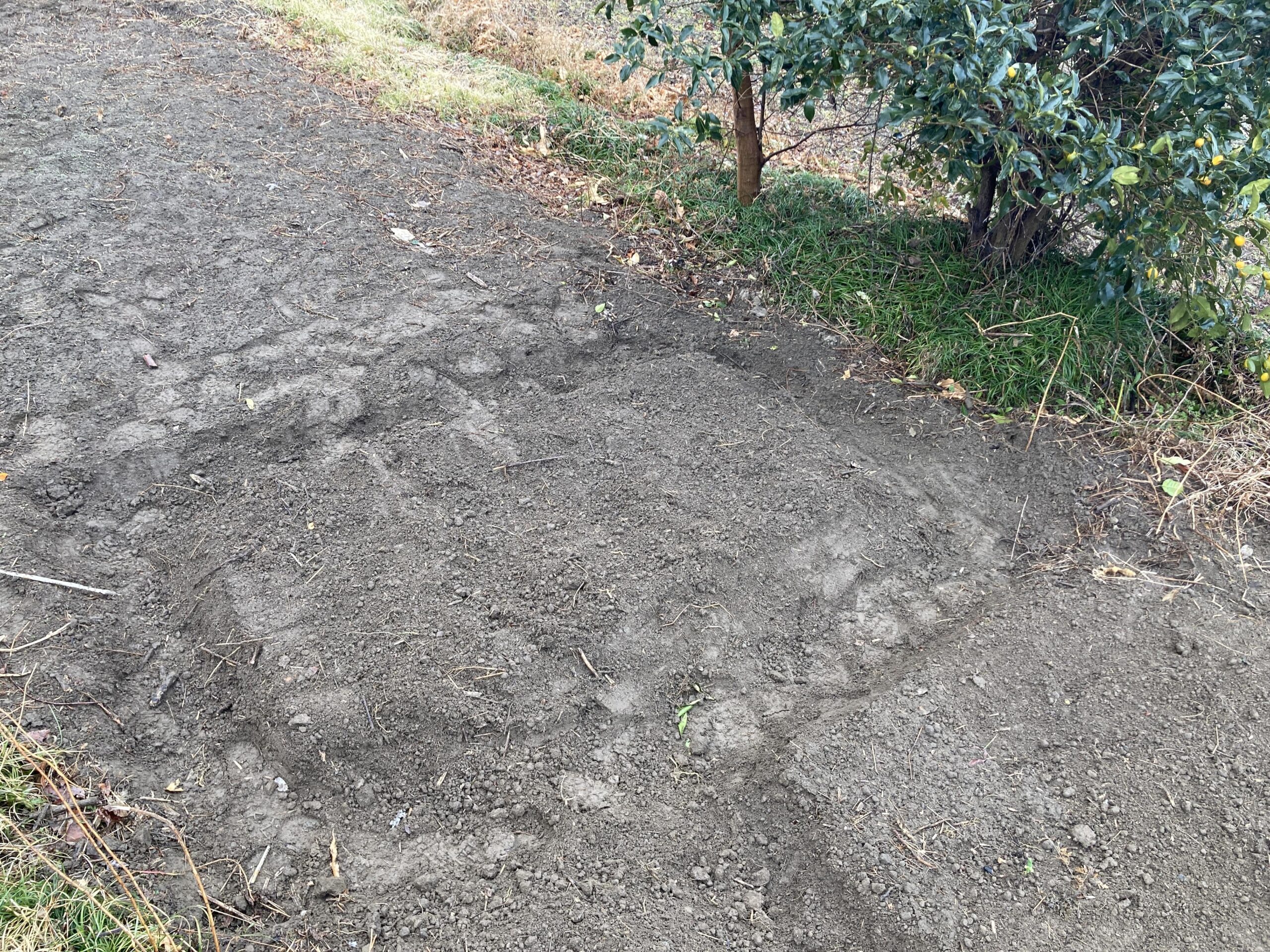 耕作放棄地を耕して畑（家庭菜園）にします②