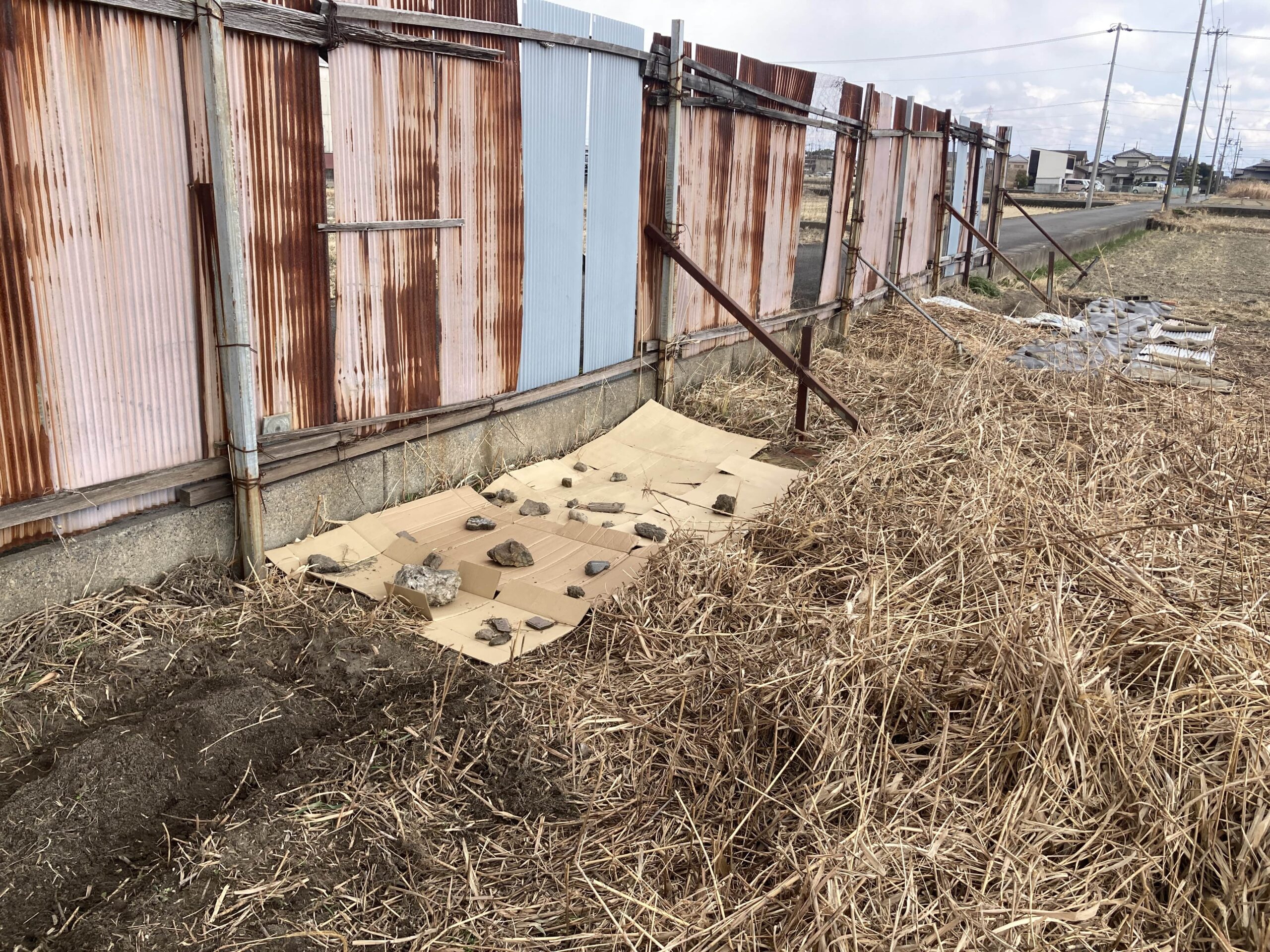 耕作放棄地を耕して畑（家庭菜園）にしますB③（無農薬・有機栽培・不耕起栽培）