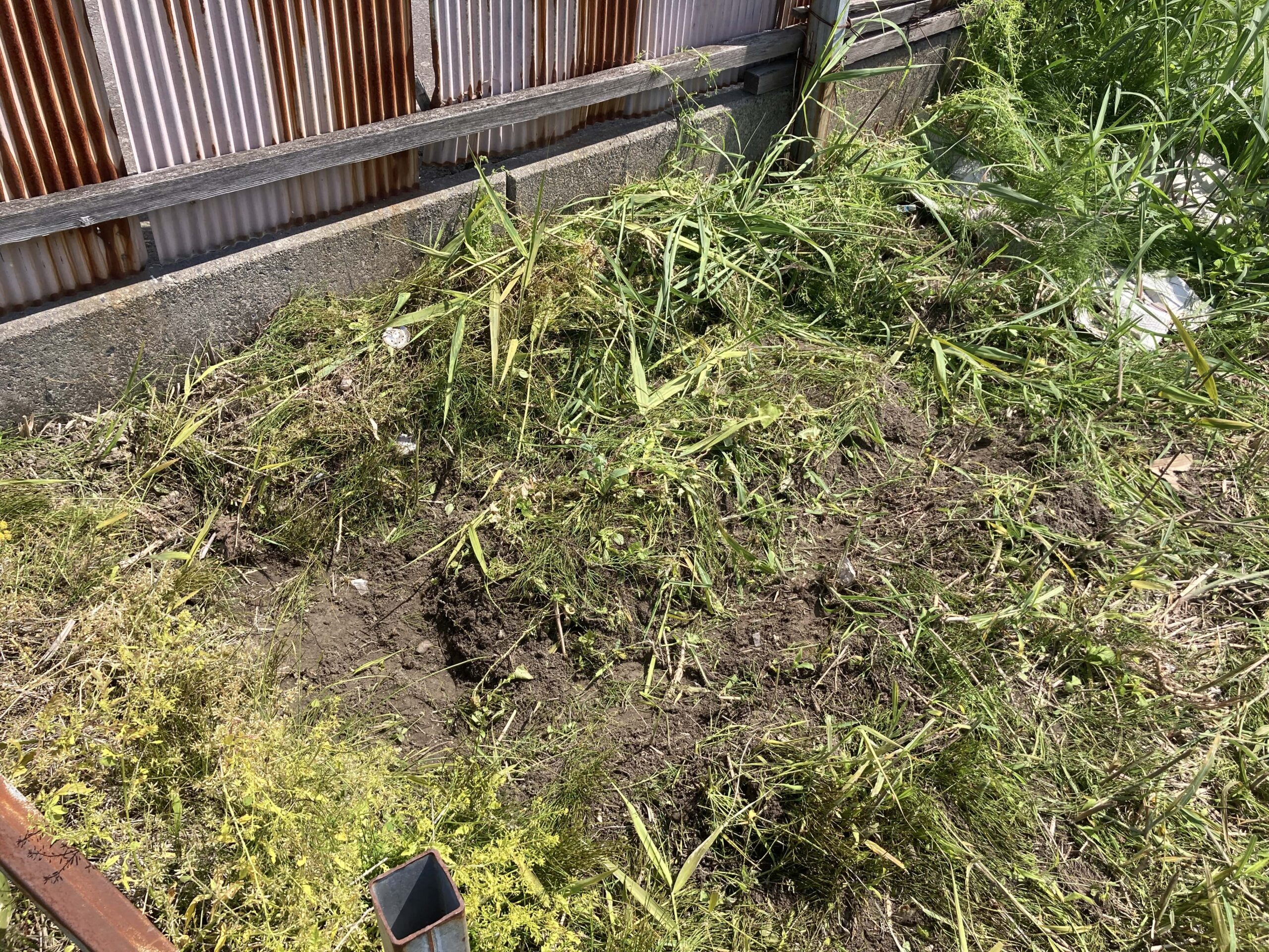 耕作放棄地を耕して畑（家庭菜園）にしますB④（無農薬・有機栽培・不耕起栽培）