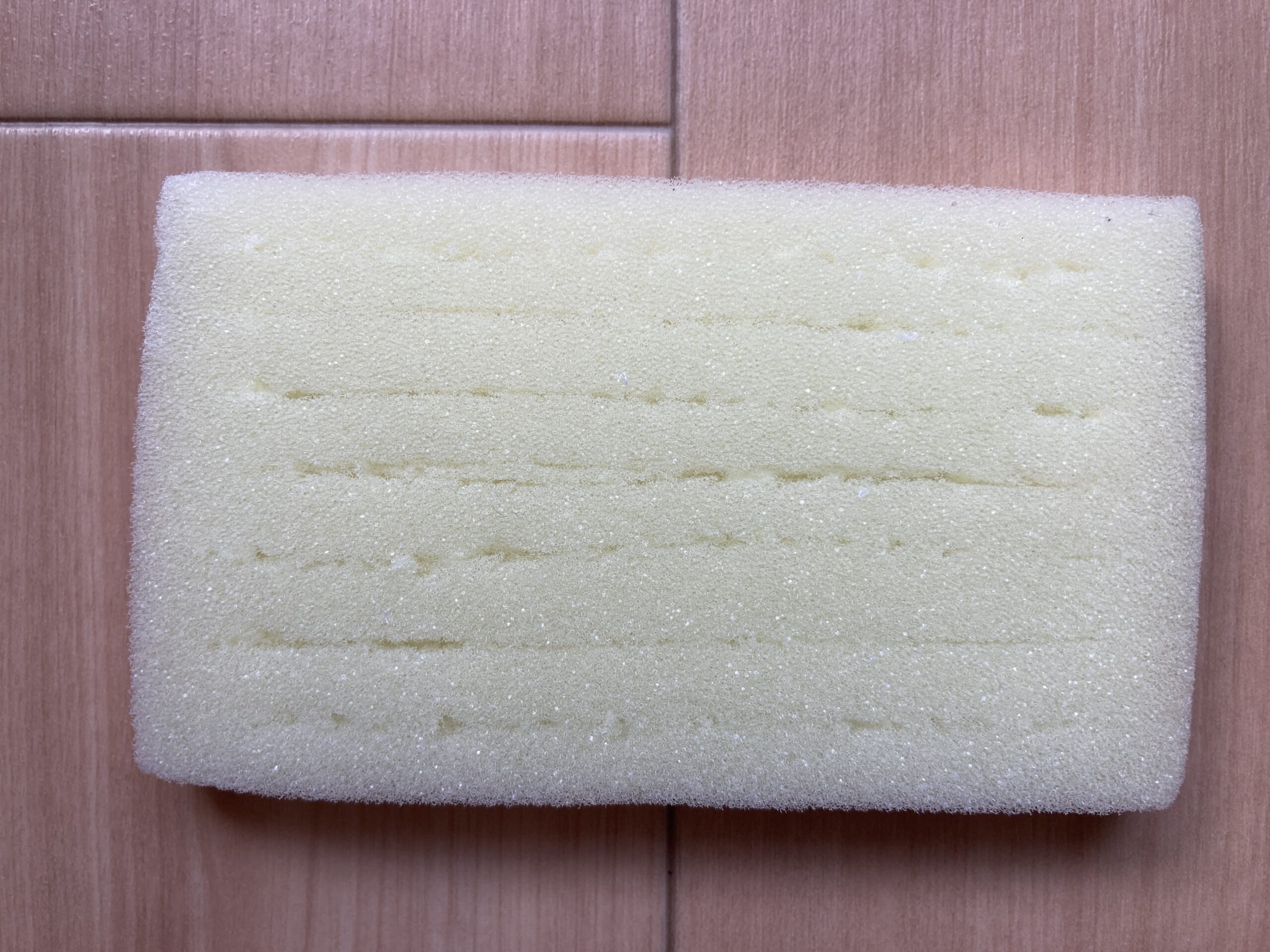 100均（ダイソー）の「かいわれ大根」を水耕栽培でコスト100円以下で育てる方法