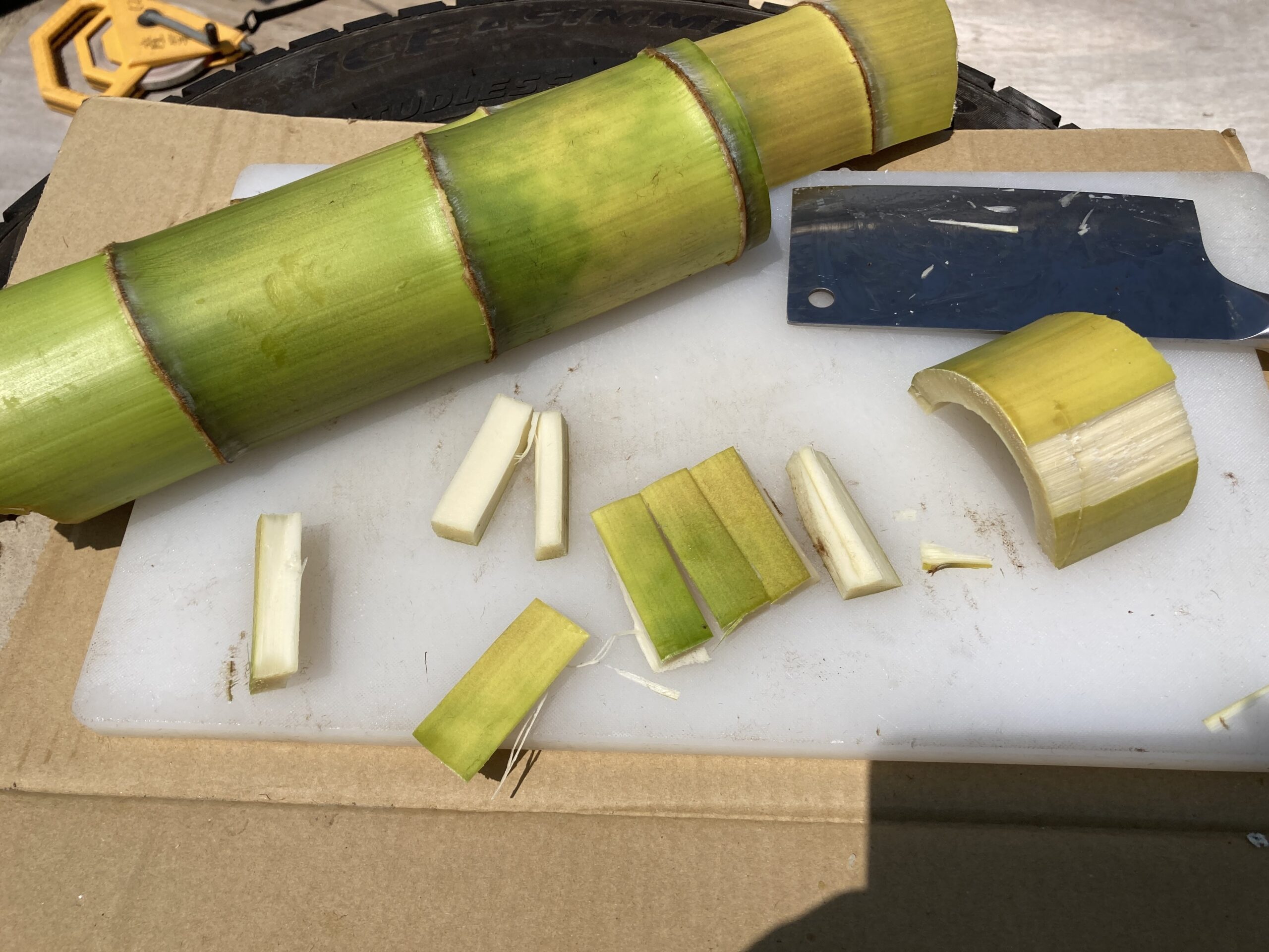 竹（タケノコ）で作る国産メンマの作り方（竹林整備・放置竹林・竹有効活用）