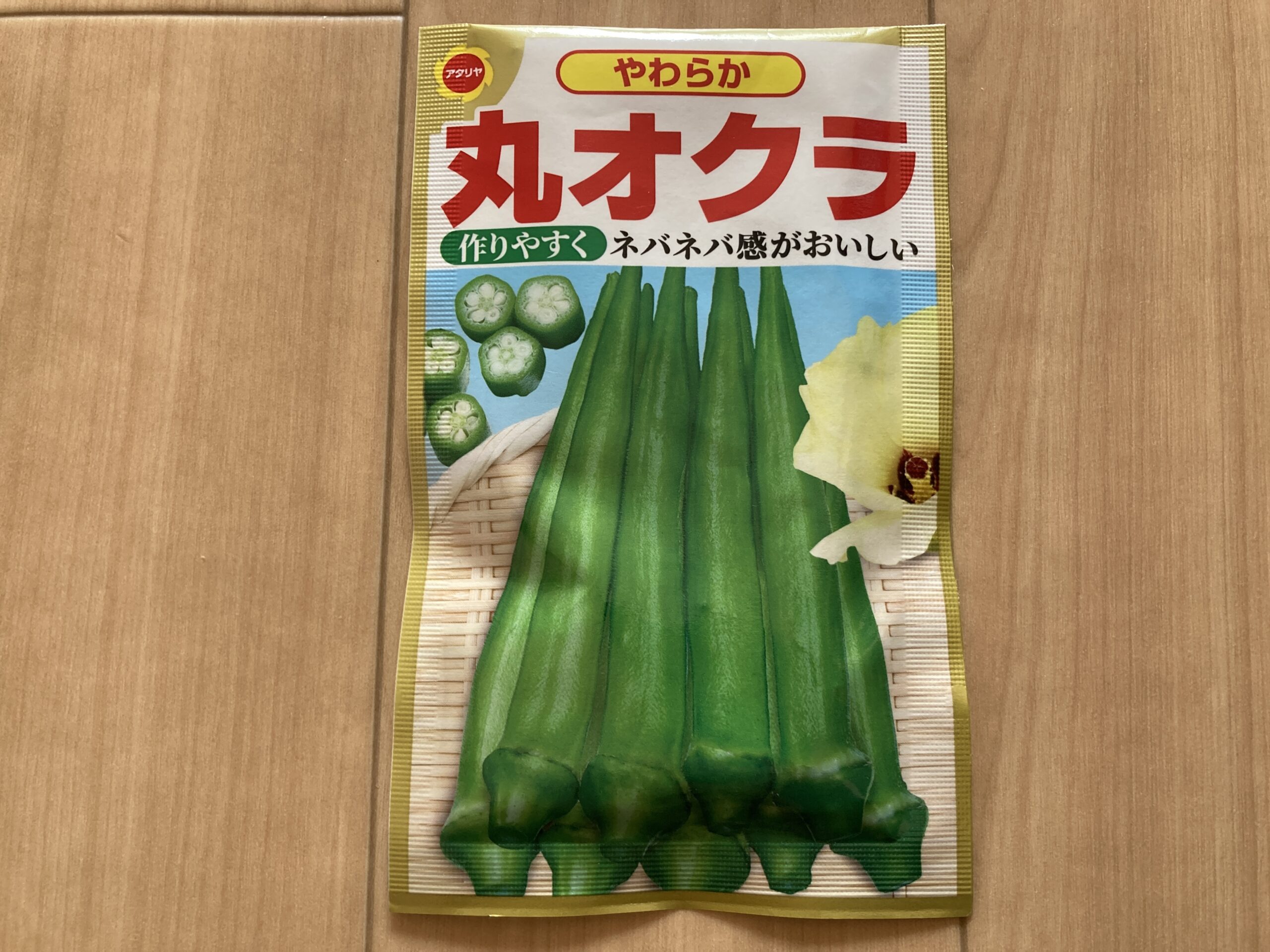 オクラの育て方|家庭菜園初心者にもおすすめ!ネバネバ栄養たっぷりの夏野菜を育てよう