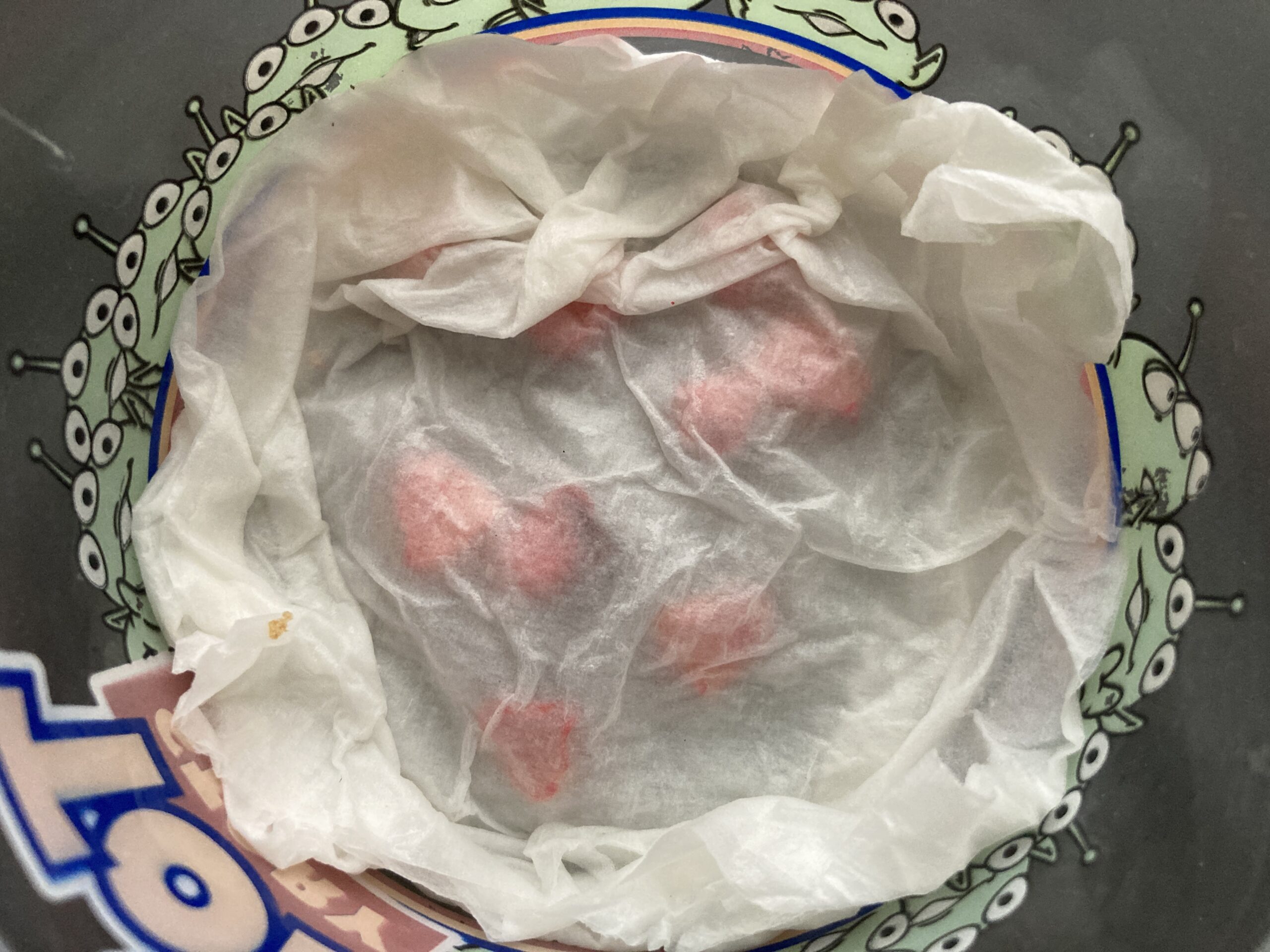 トウモロコシの育て方｜初心者でも簡単！育ててすぐ食べる！格別な甘さを体験しよう【家庭菜園】