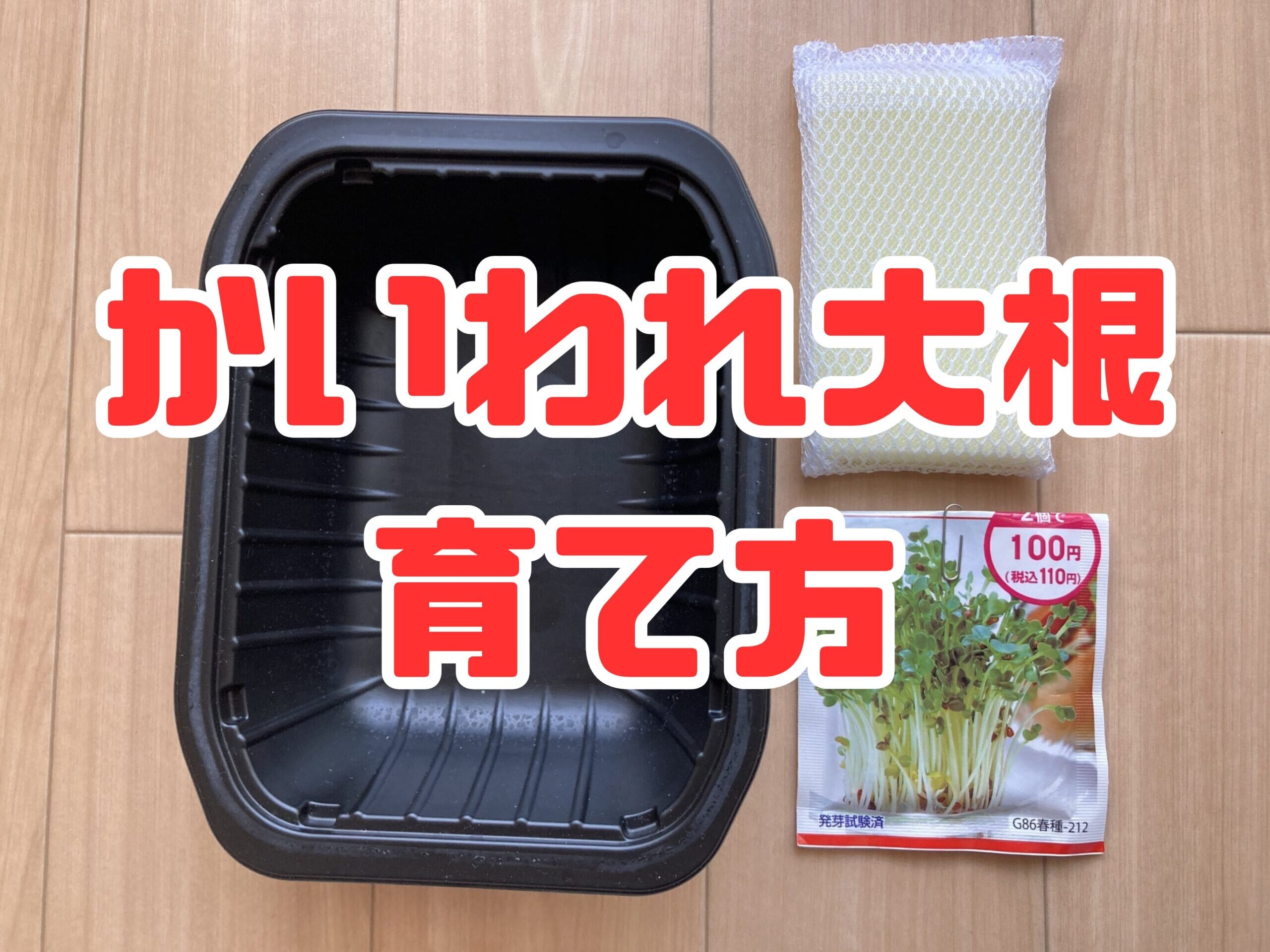 カイワレ大根の育て方｜初心者でも簡単！100均（ダイソー）の「かいわれ大根」を水耕栽培でコスト100円以下で育てる方法