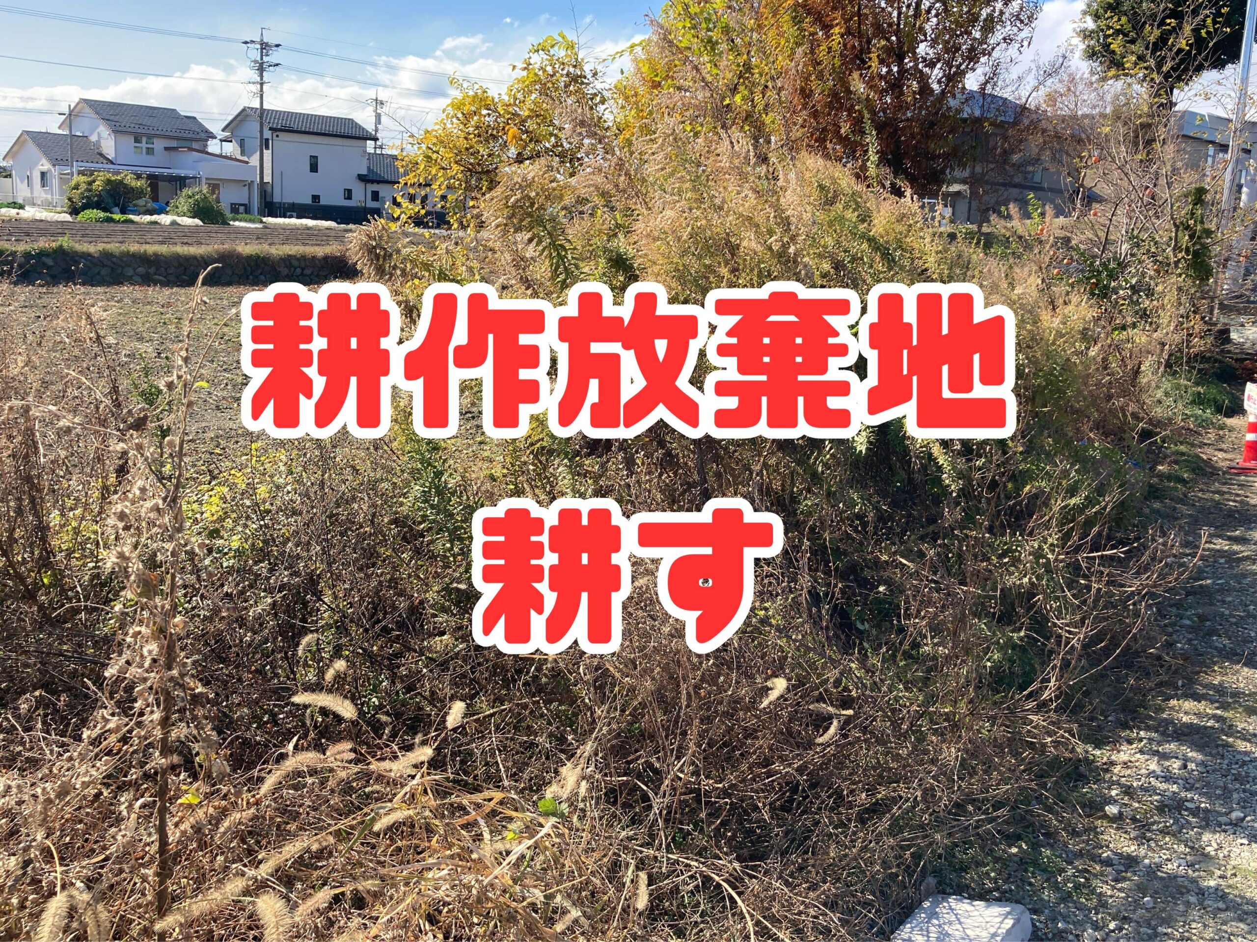 耕作放棄地を耕して畑（家庭菜園）にします（無農薬・有機栽培・不耕起栽培）
