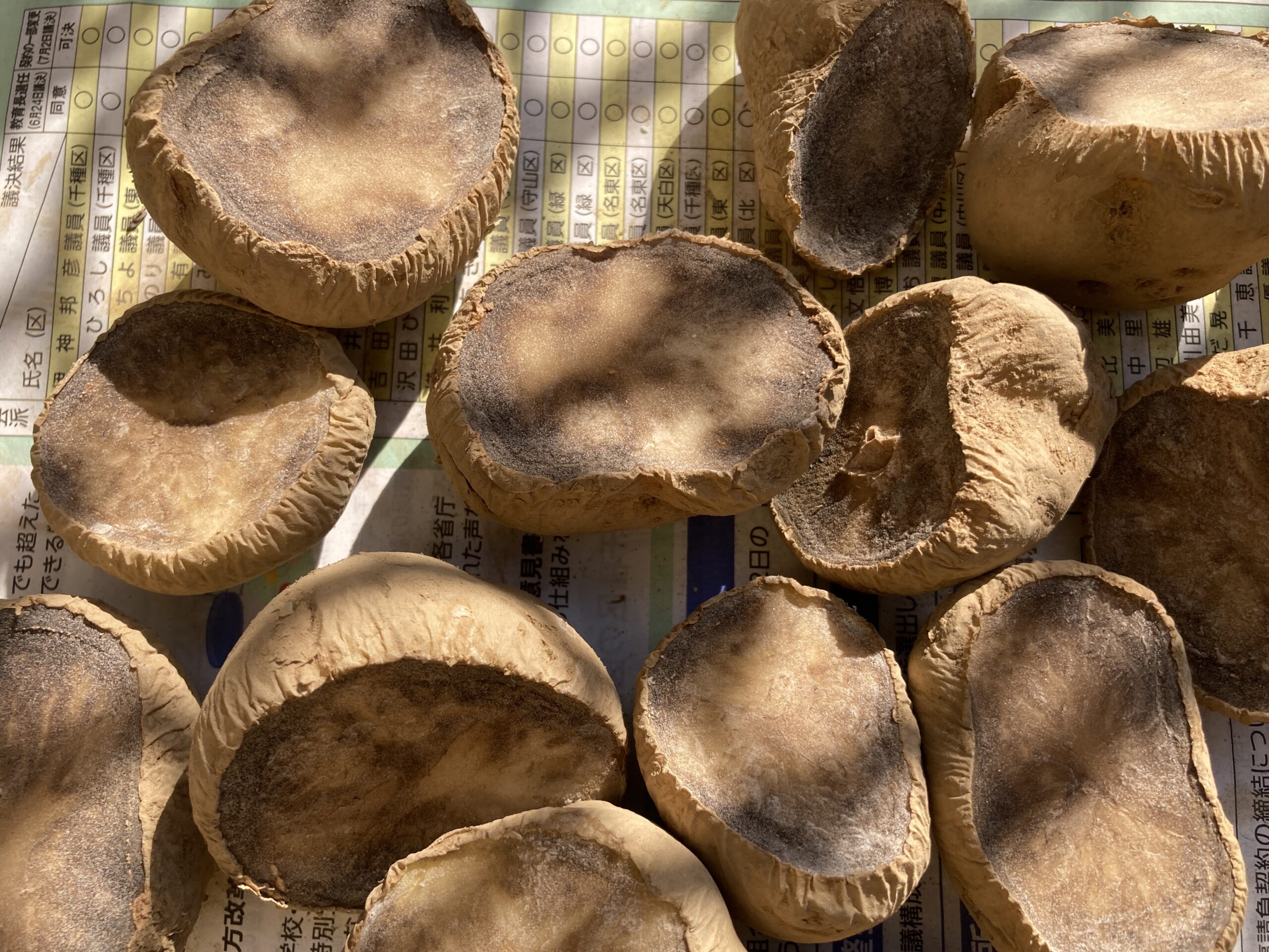 ジャガイモの育て方｜初心者でも簡単！春と秋に育てられる！家庭菜園初心者にもおすすめの人気野菜