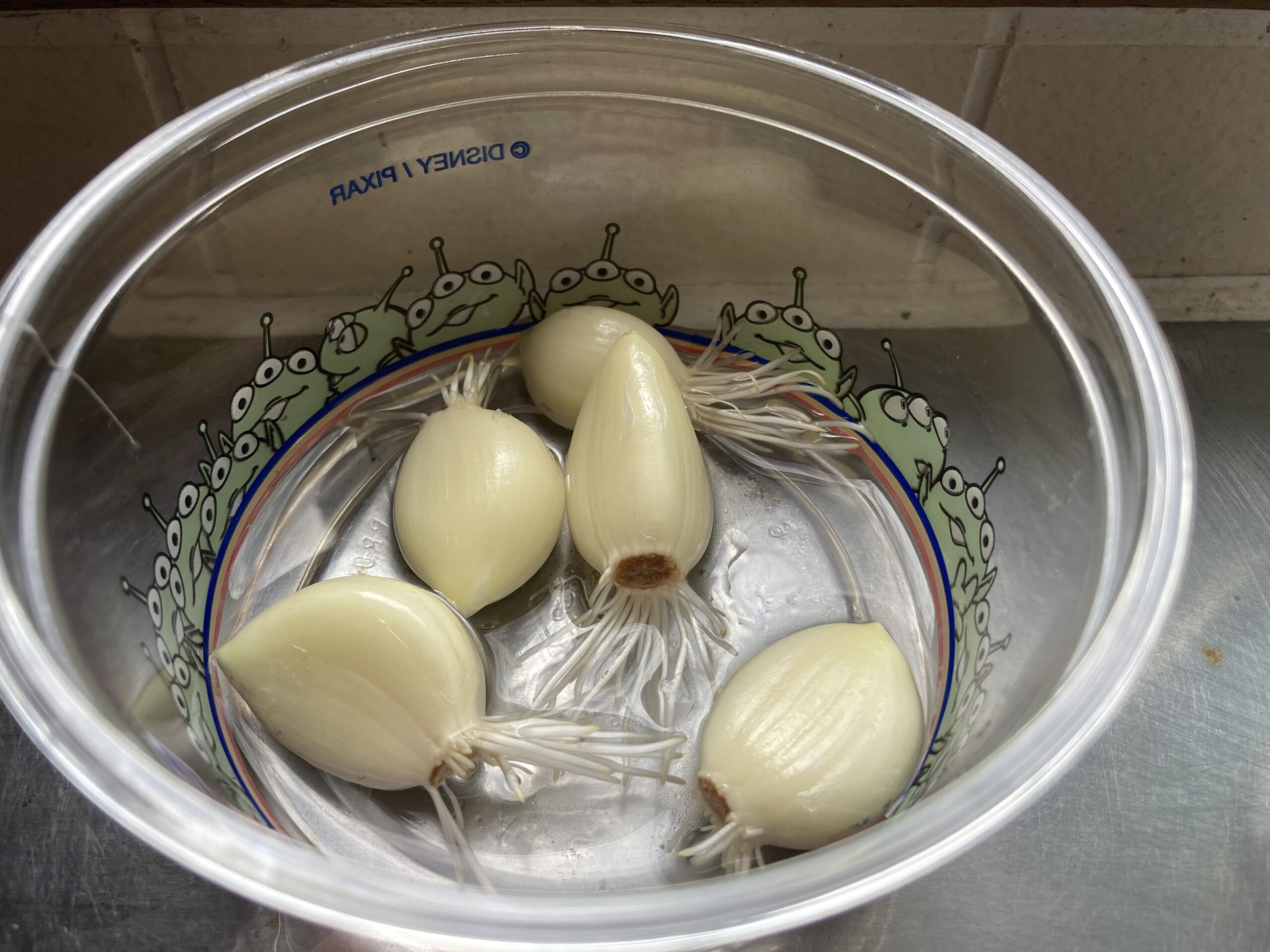 ニンニクの育て方｜初心者でも簡単！家庭菜園で香り豊かなスタミナ野菜を育てよう