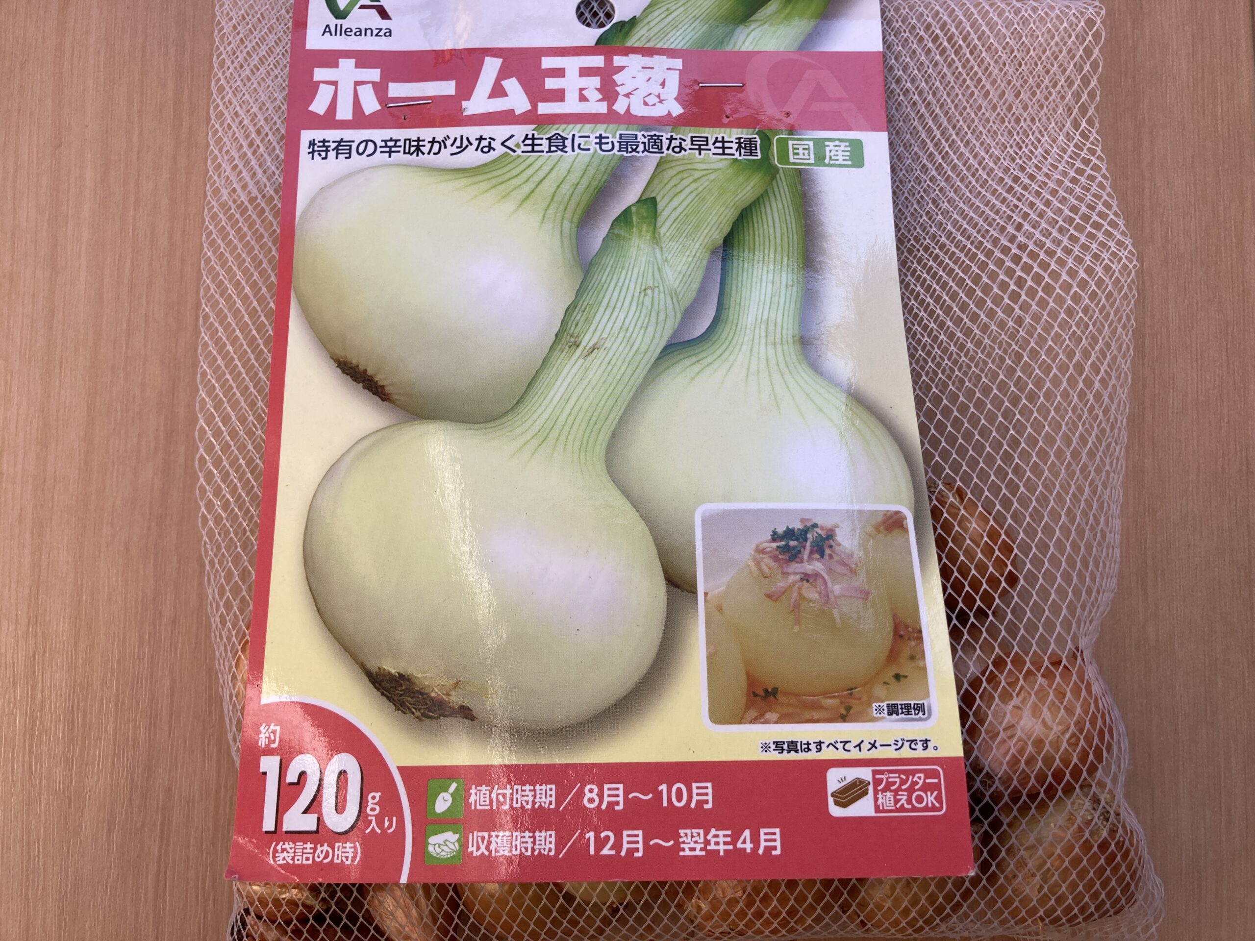タマネギ(玉葱・たまねぎ)の育て方|甘みと香りを楽しむ定番野菜!畑でもプランターでも栽培可能
