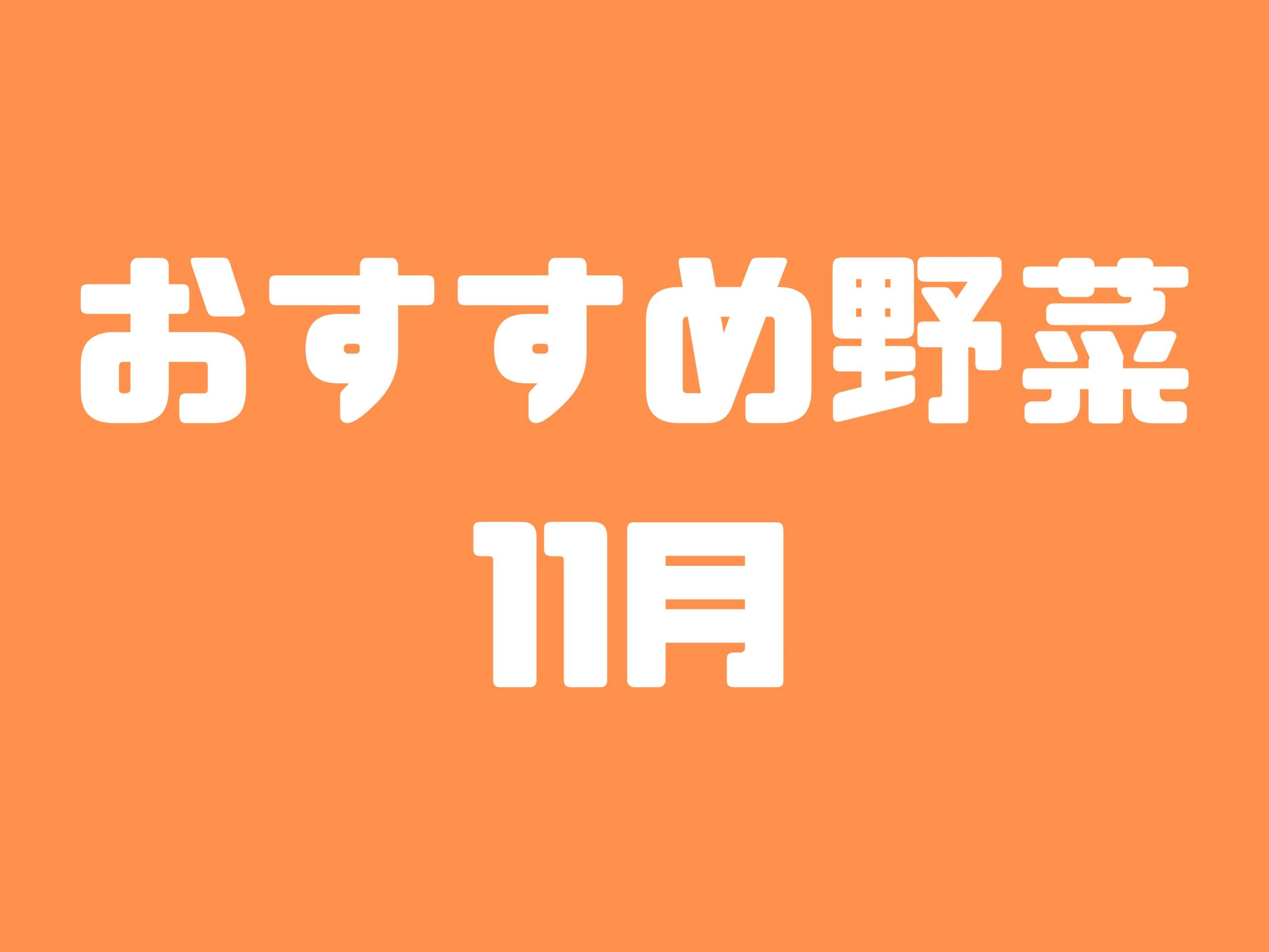 11月に種まきできる野菜5選と植え付けできる野菜5選｜初心者におすすめの育てやすい野菜たちをご紹介します【家庭菜園】