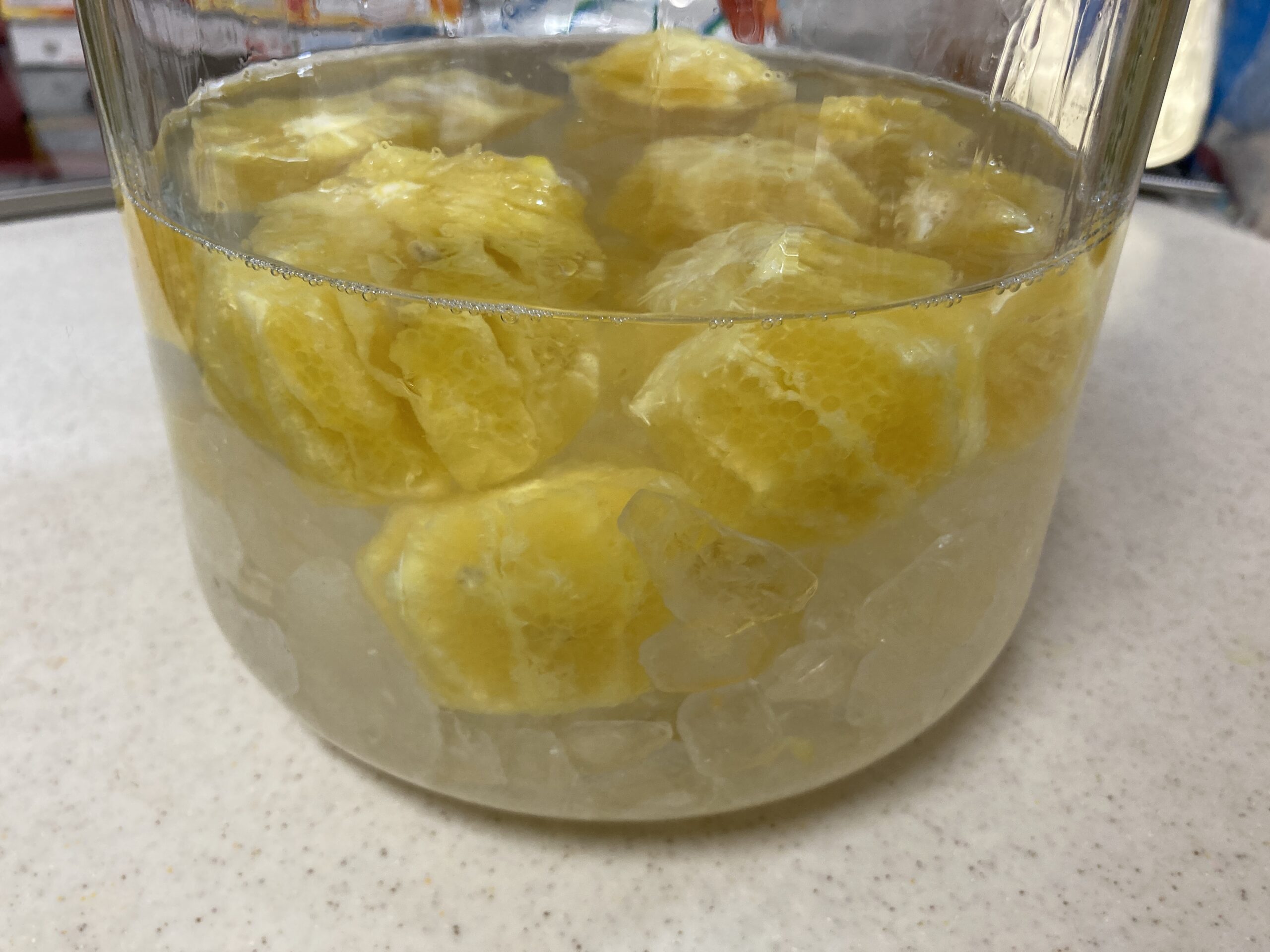 ユズ（柚子）の育て方｜香り豊かな果実を家庭で楽しむ果樹栽培【家庭菜園シリーズ】