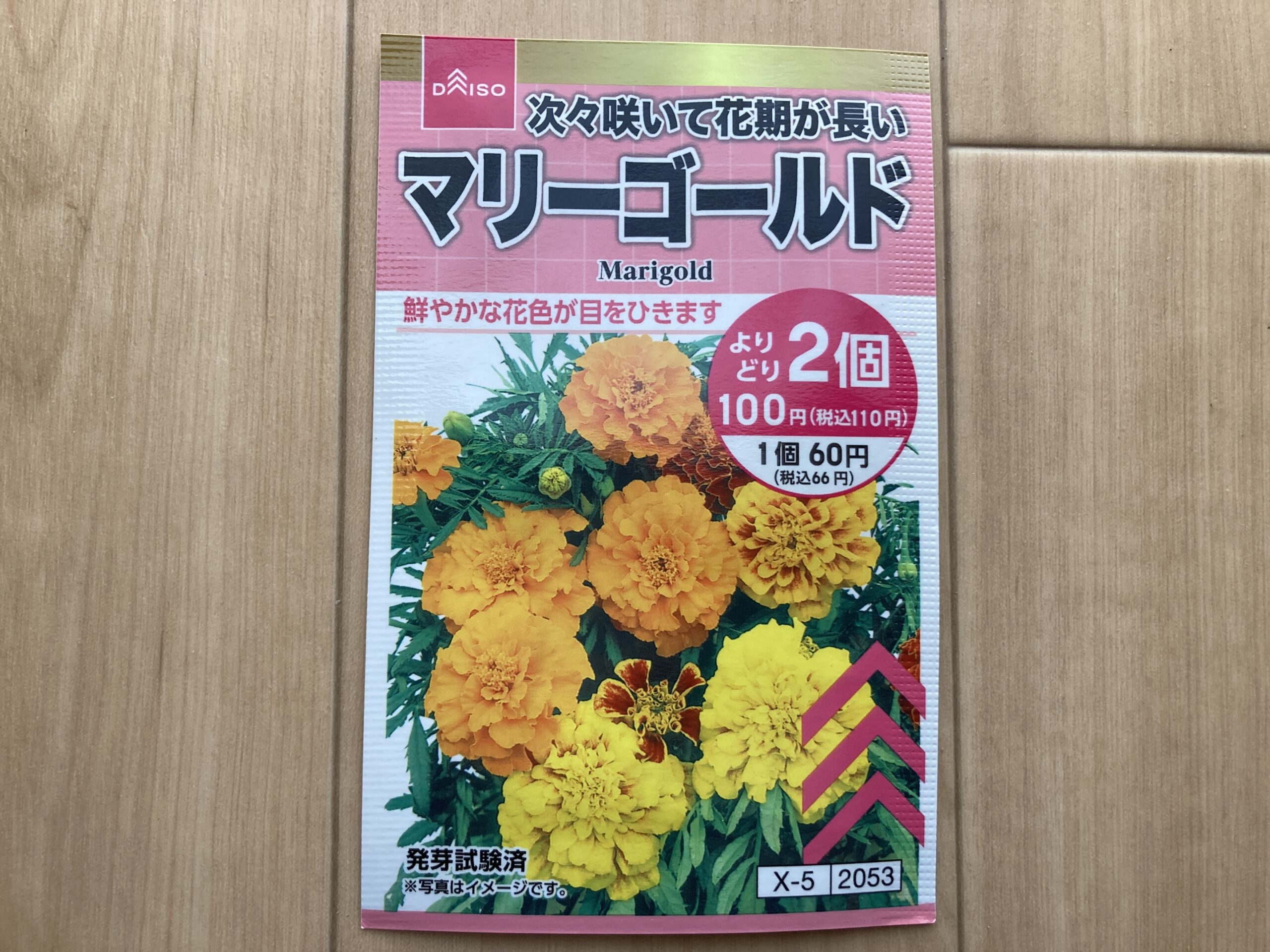 マリーゴールドの育て方|初心者でも簡単!丈夫で長く咲く人気の花を家庭で育てよう【家庭菜園・ガーデニングシリーズ】